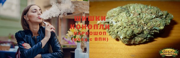 хмурый Нея