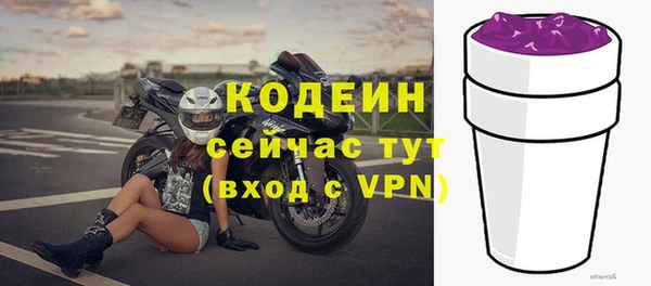 хмурый Нея