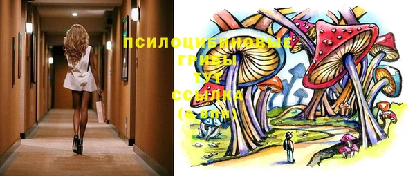 хмурый Нея
