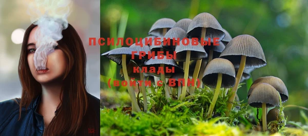 хмурый Нея