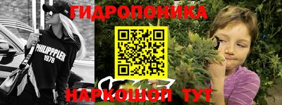 альфа пвп Гай