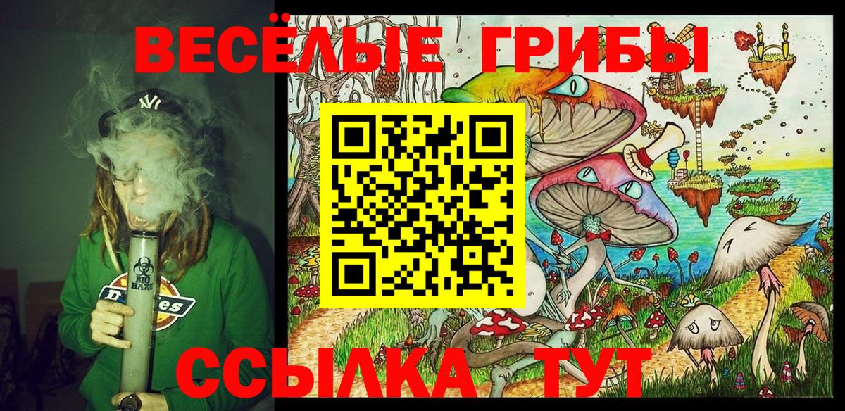 Псилоцибиновые грибы Magic Shrooms  Вход с VPN  Псилоцибиновые грибы Cubensis  Раменское 